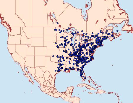 Distribution Data for Eutrapela clemataria