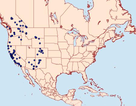 Distribution Data for Prochoerodes forficaria