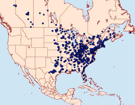 Distribution Data for Prochoerodes lineola