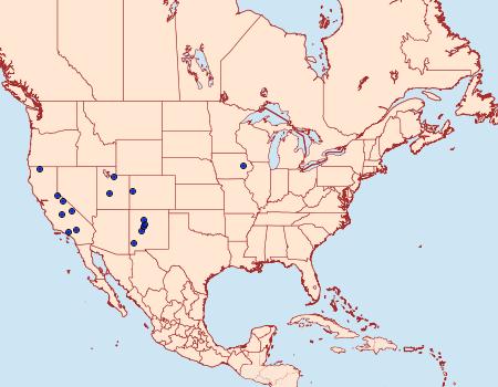 Distribution Data for Sabulodes dissimilis