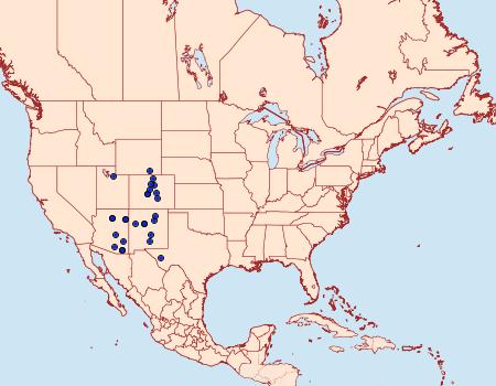 Distribution Data for Sabulodes niveostriata