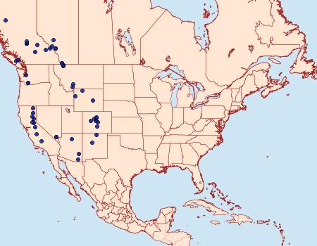 Distribution Data for Sabulodes griseata