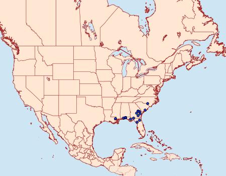 Distribution Data for Nematocampa baggettaria