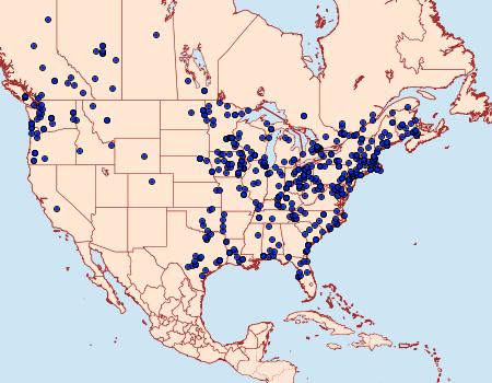 Distribution Data for Nematocampa resistaria