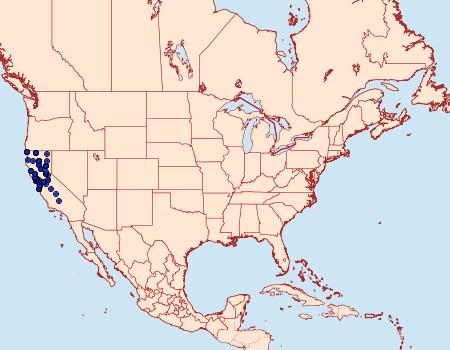 Distribution Data for Nematocampa brehmeata