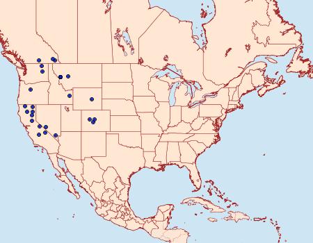 Distribution Data for Chlorosea nevadaria