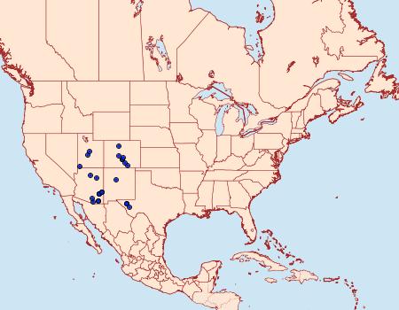 Distribution Data for Chlorosea roseitacta