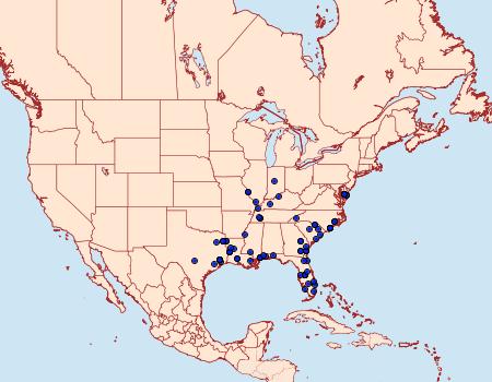 Distribution Data for Nemoria elfa