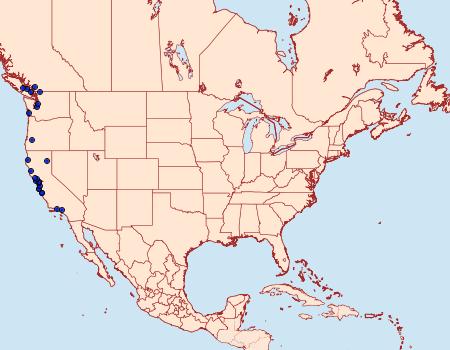 Distribution Data for Marmara arbutiella