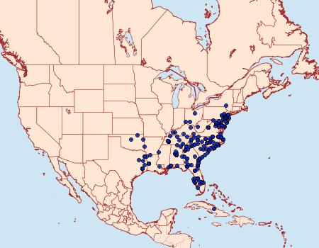 Distribution Data for Nemoria lixaria