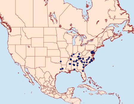 Distribution Data for Nemoria saturiba