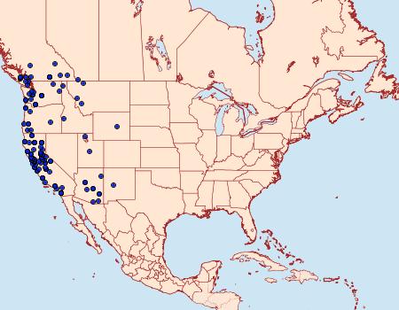 Distribution Data for Nemoria darwiniata