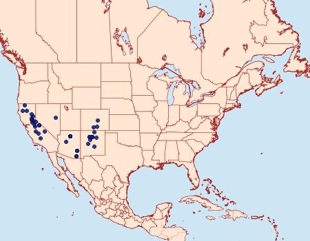 Distribution Data for Nemoria obliqua