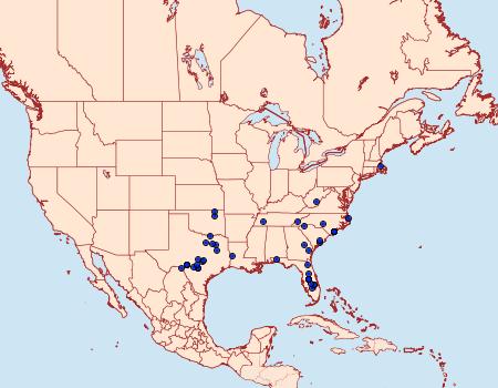 Distribution Data for Nemoria bifilata