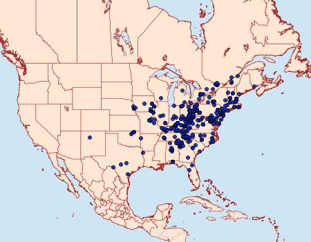 Distribution Data for Nemoria bistriaria