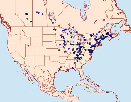 Distribution Data for Nemoria mimosaria