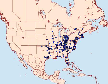 Distribution Data for Dichorda iridaria