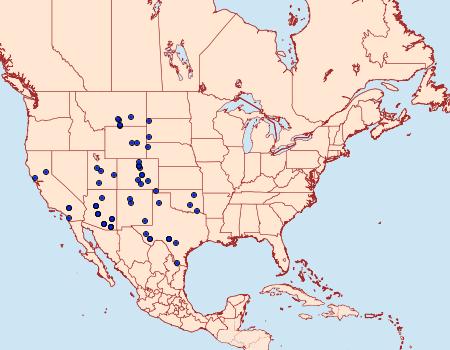 Distribution Data for Dichorda rectaria