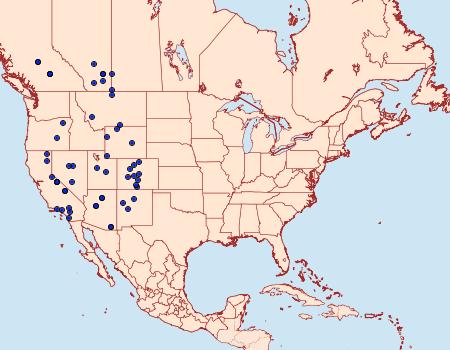 Distribution Data for Synchlora bistriaria