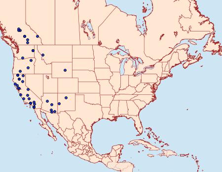 Distribution Data for Chlorochlamys triangularis