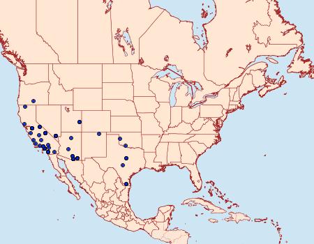 Distribution Data for Chlorochlamys appellaria