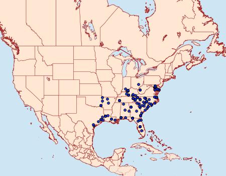 Distribution Data for Chloropteryx tepperaria