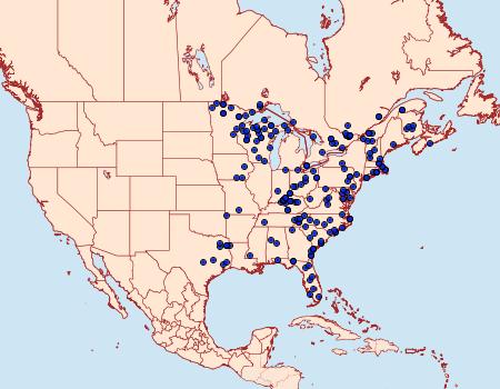 Distribution Data for Thalera pistasciaria