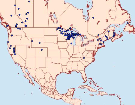 Distribution Data for Mesothea incertata