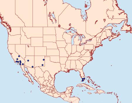 Distribution Data for Lobocleta lanceolata