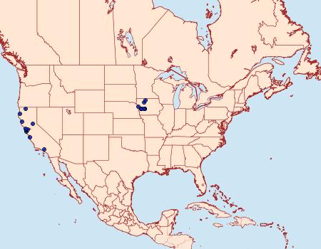 Distribution Data for Stigmella ceanothi