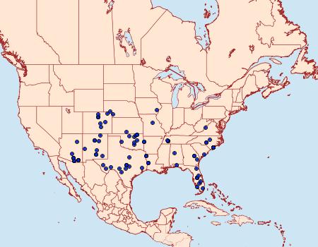 Distribution Data for Lobocleta peralbata