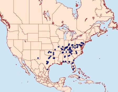 Distribution Data for Idaea furciferata