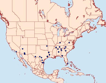 Distribution Data for Idaea celtima