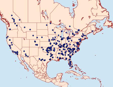 Distribution Data for Idaea demissaria