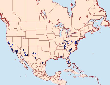 Distribution Data for Idaea eremiata