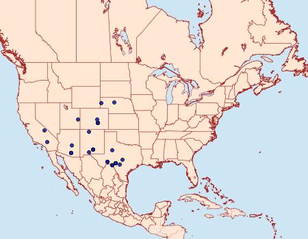 Distribution Data for Idaea gemmata