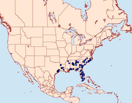 Distribution Data for Idaea tacturata