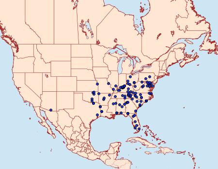 Distribution Data for Idaea obfusaria