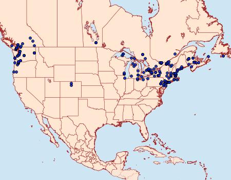 Distribution Data for Idaea dimidiata