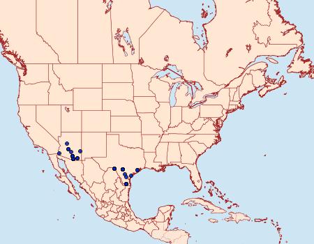 Distribution Data for Odontoptila obrimo