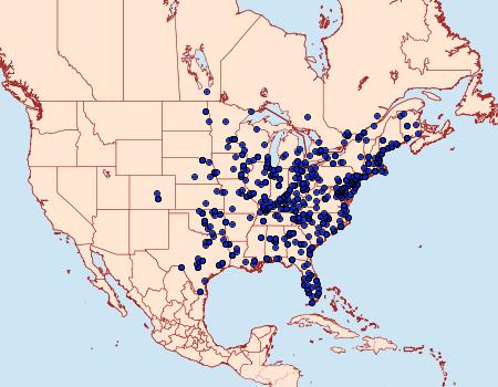 Distribution Data for Pleuroprucha insulsaria