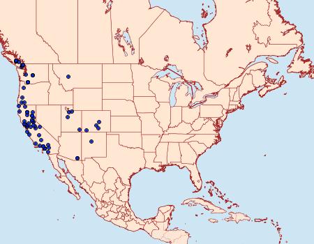 Distribution Data for Cyclophora dataria