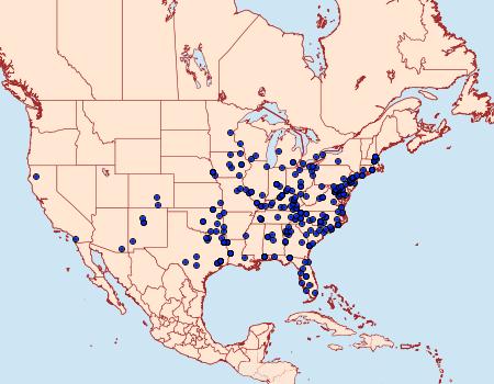 Distribution Data for Cyclophora packardi