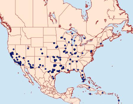 Distribution Data for Cyclophora nanaria