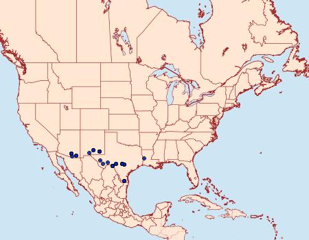 Distribution Data for Semaeopus ella