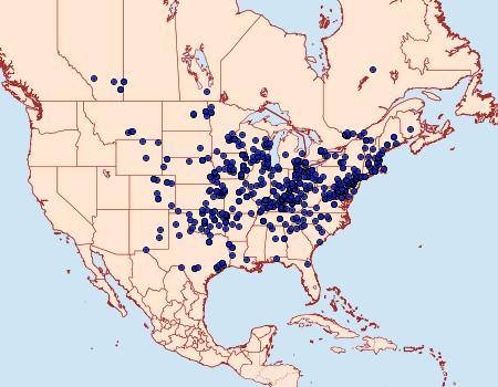 Distribution Data for Haematopis grataria