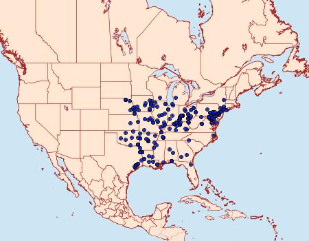 Distribution Data for Timandra amaturaria