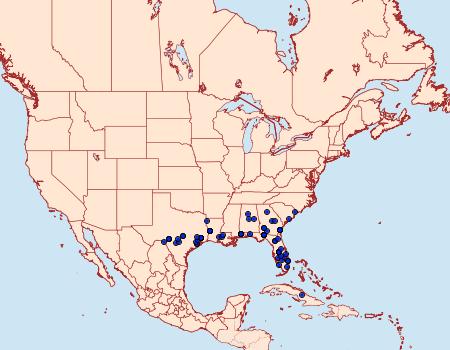 Distribution Data for Scopula compensata