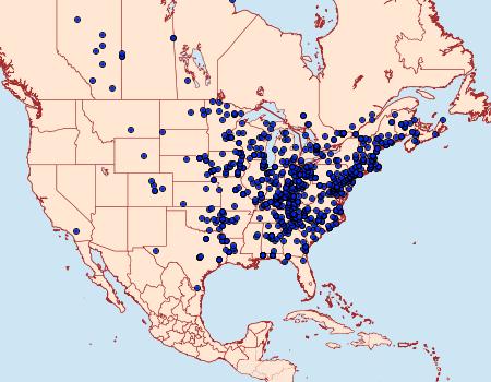 Distribution Data for Scopula limboundata