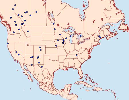 Distribution Data for Scopula ancellata